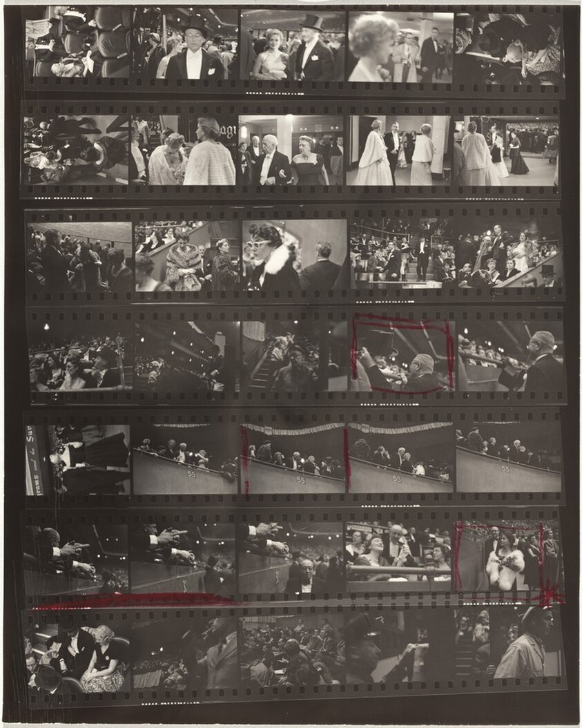 Horse show opening 10