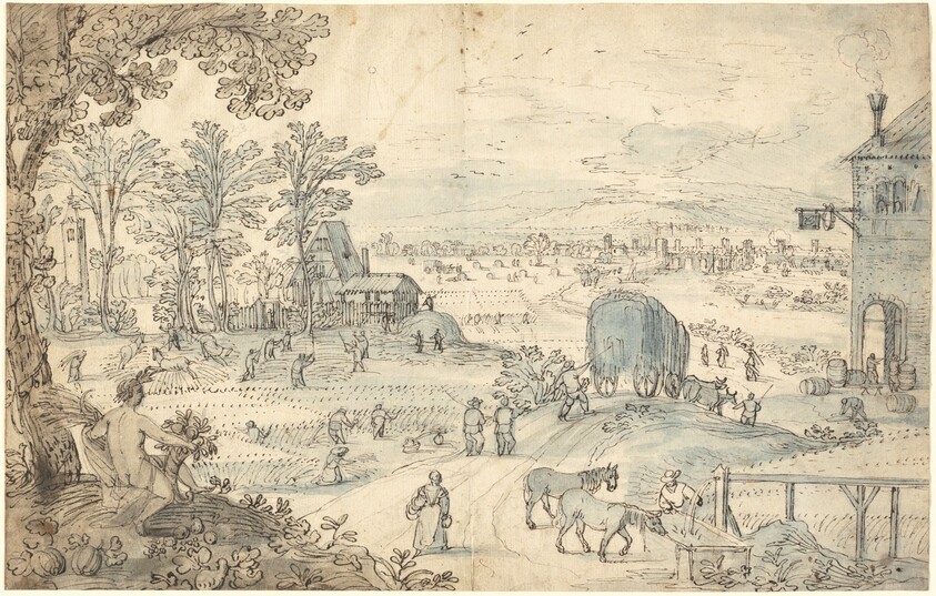 Summer Harvest in an Extensive Landscape