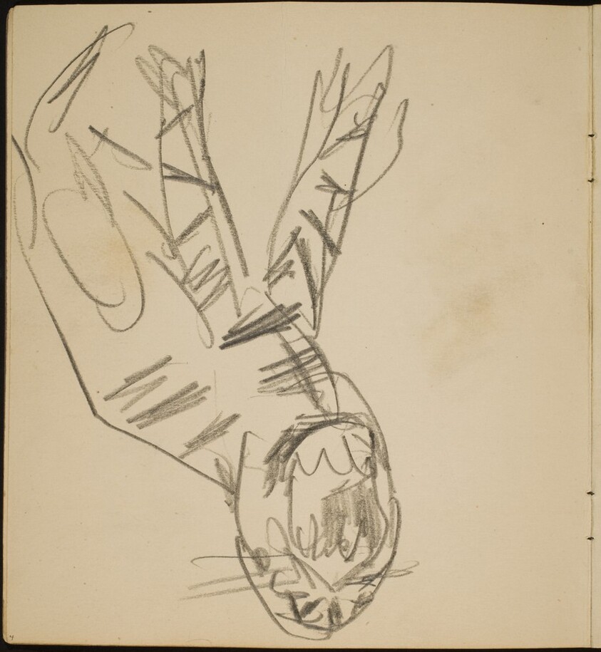 Tiger mit geöffnetem Maul (Open Tiger Mouth) [p. 4]