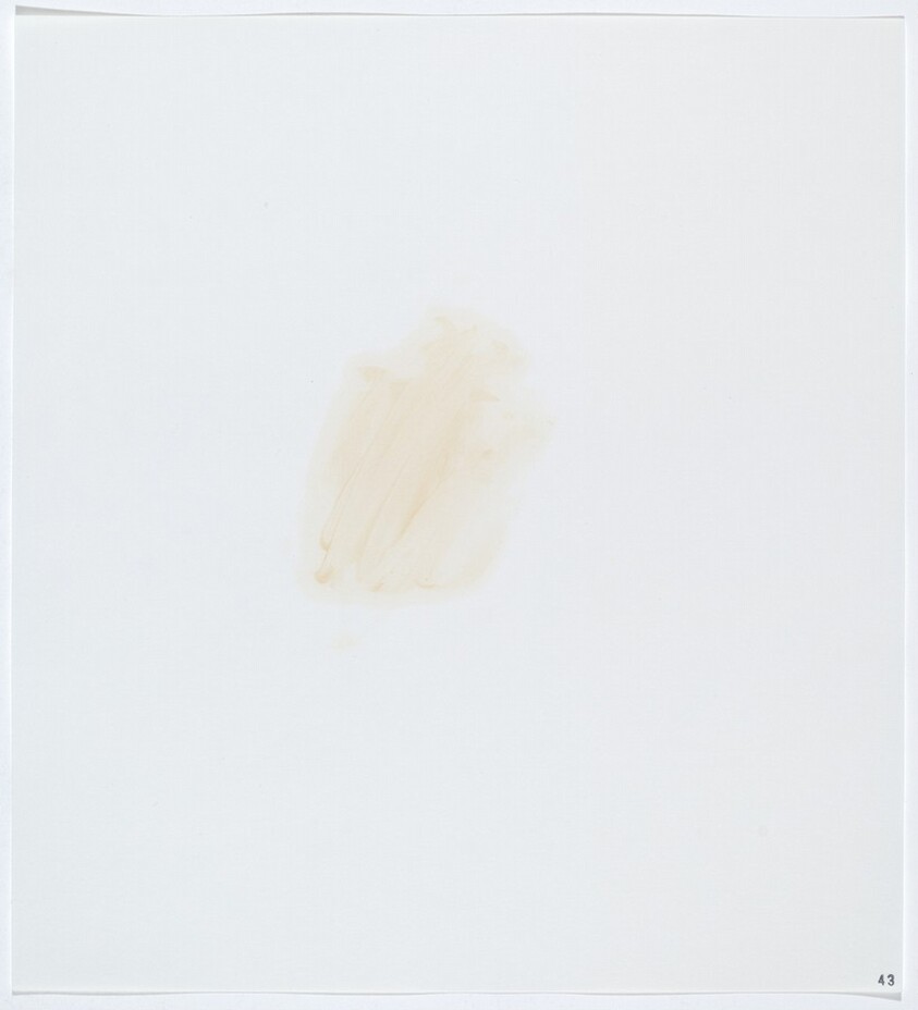 Stains: Salad Dressing (Kraft Roka blue cheese)