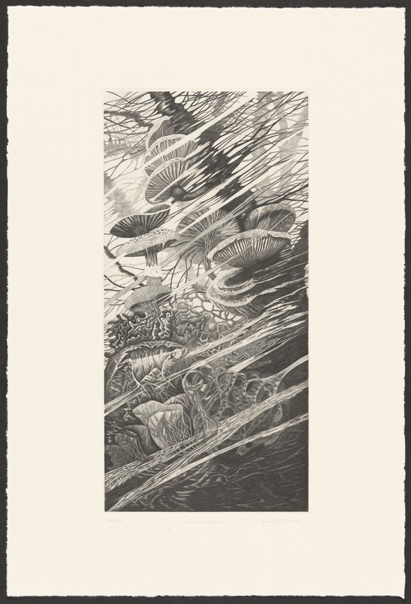 Sous-Bois (Undergrowth)