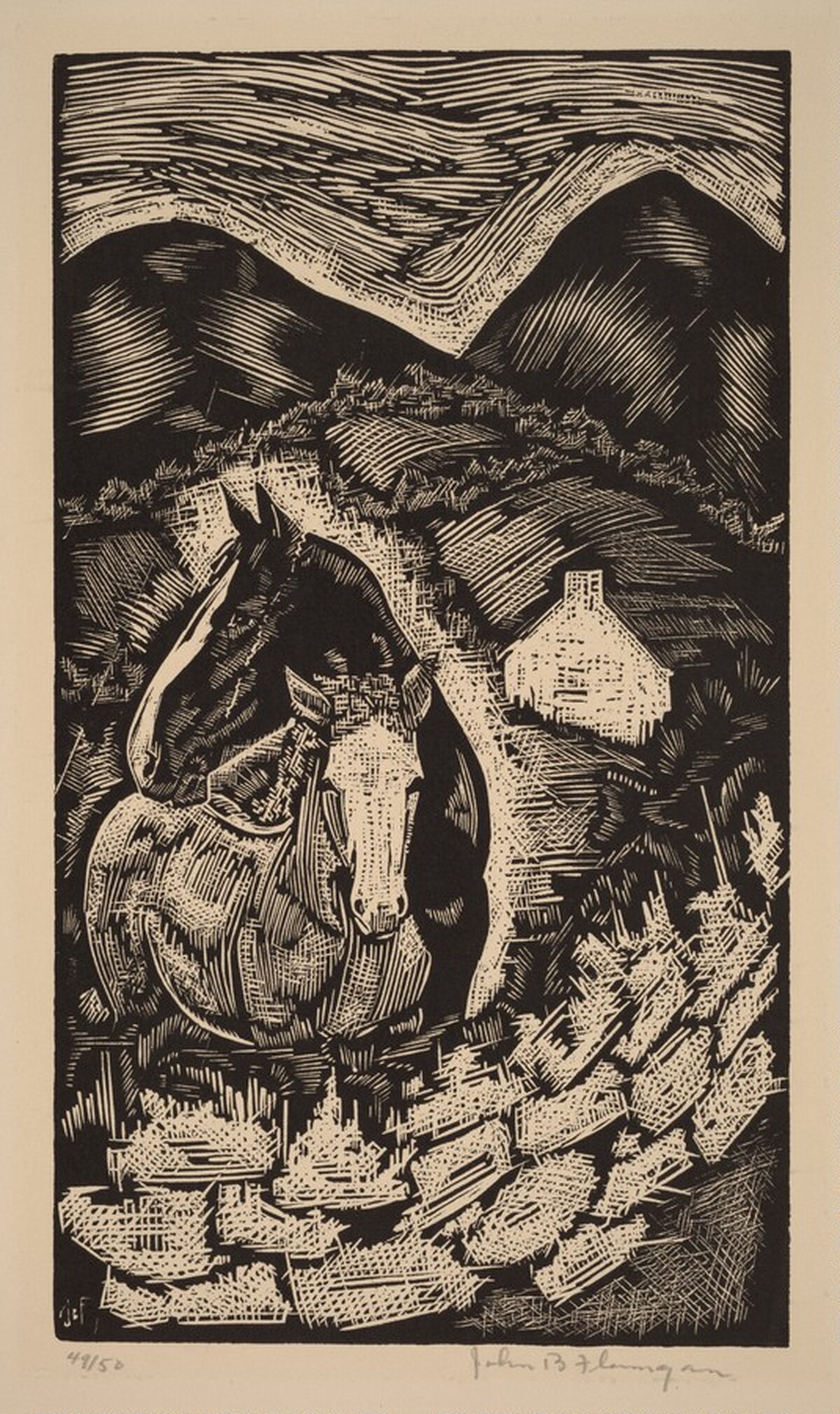 Untitled (Two Horses in a Hilly Landscape, Ireland)