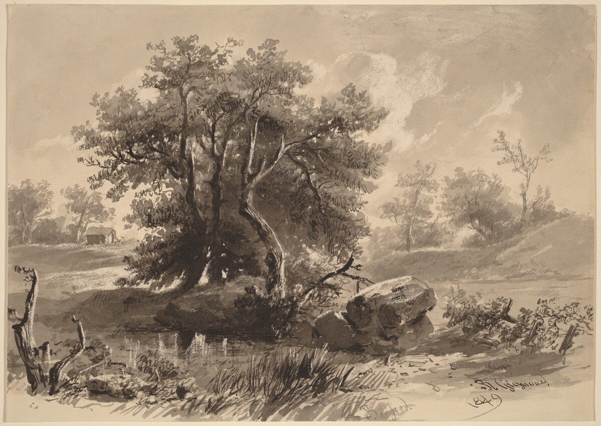 The Trees, Bedford, New York