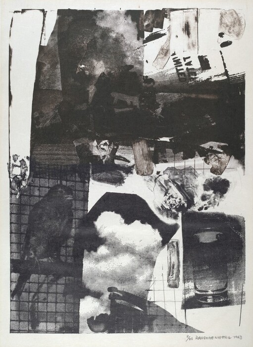 The image features various shapes and lines forming a grid-like pattern with dark and light areas. Recognizable elements include a bird and fragmented images of objects resembling clouds or smoke and a glass or bottle. The artwork conveys the impression of looking through layers of screens with its mix of textures and overlapping forms.