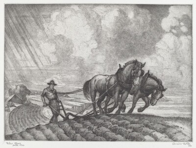 Plow Team