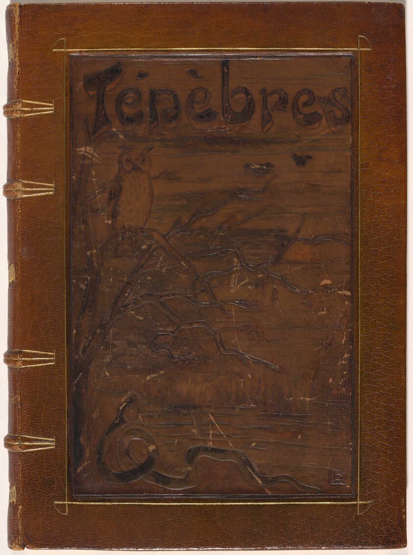Ténèbres (Darkness)
