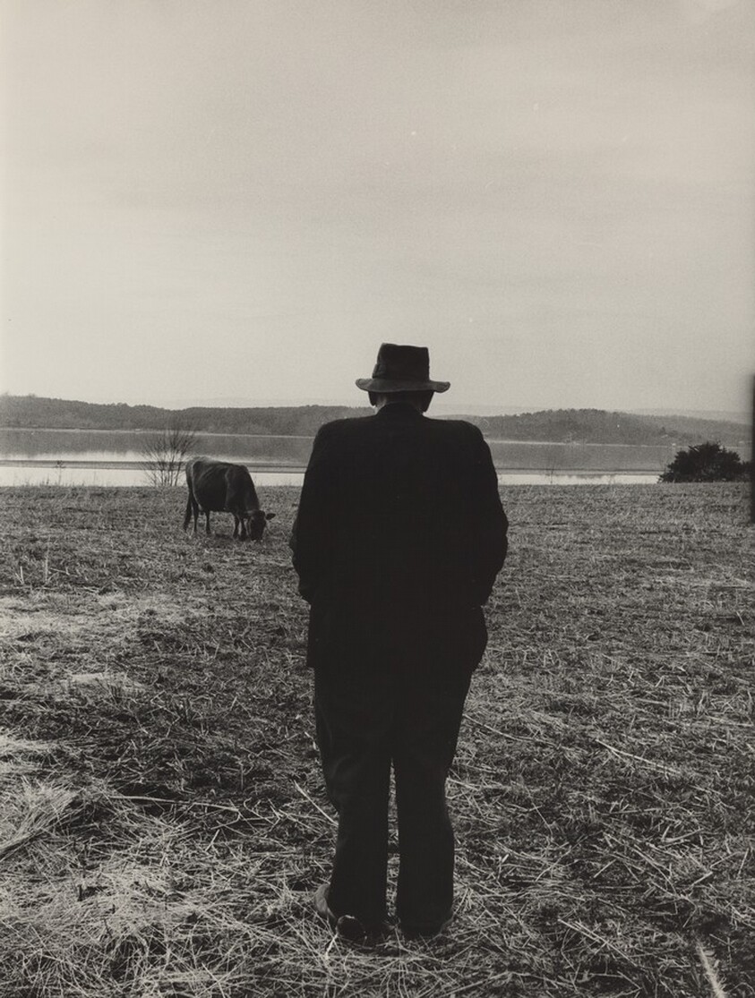 Platte River, Tennessee