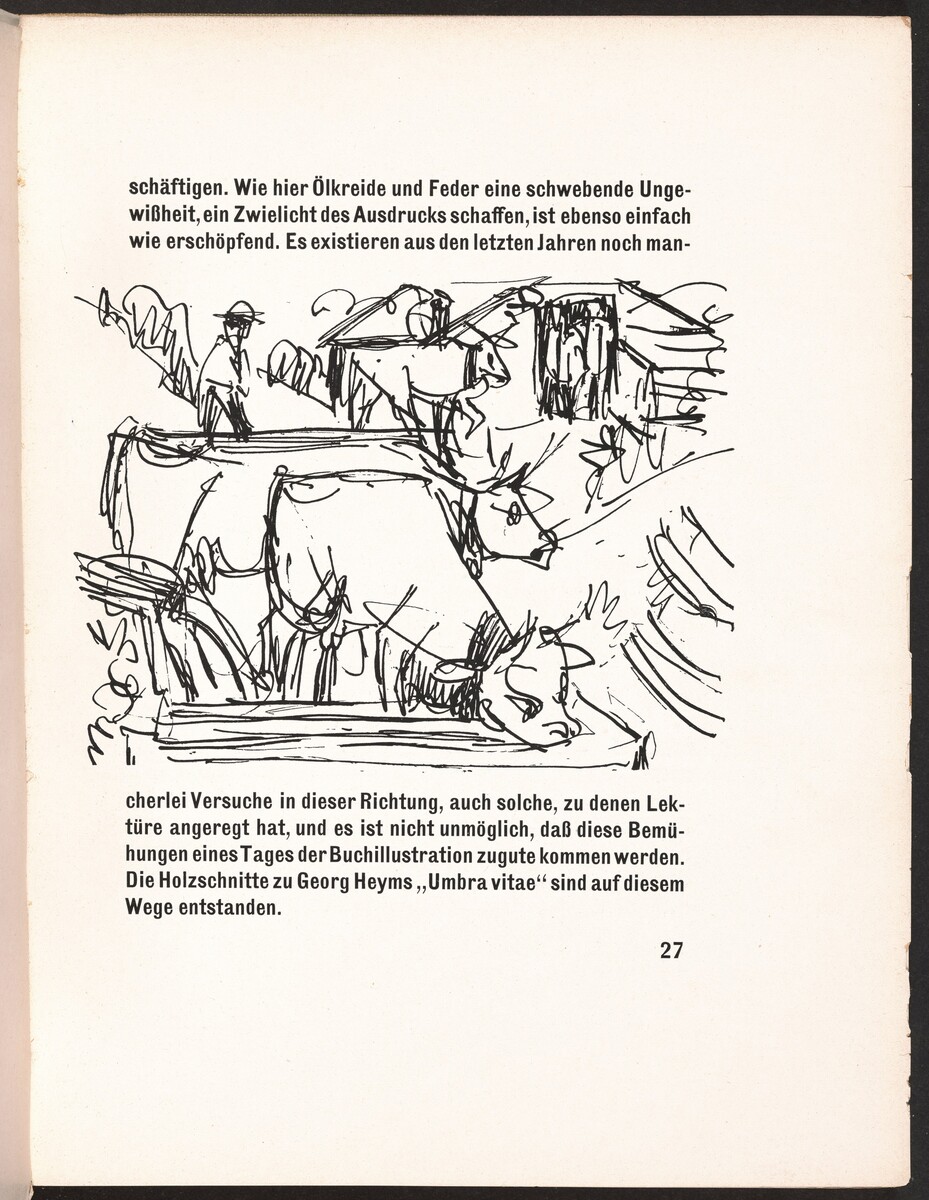 The image shows two cows and a man surrounded by rough sketch lines. There are two cows in the foreground, depicted with fluid lines suggesting movement. Above the cows are sketchy lines resembling barns or rural buildings, with a figure resembling a man nearby. The drawing is placed on a page with text above and below, creating an illustrative connection between the art and text.