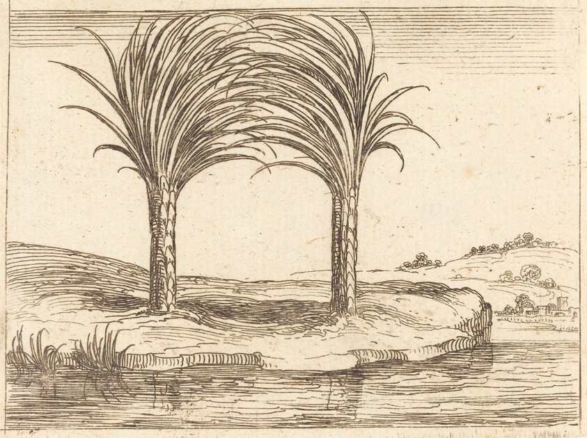 Two Palm Trees