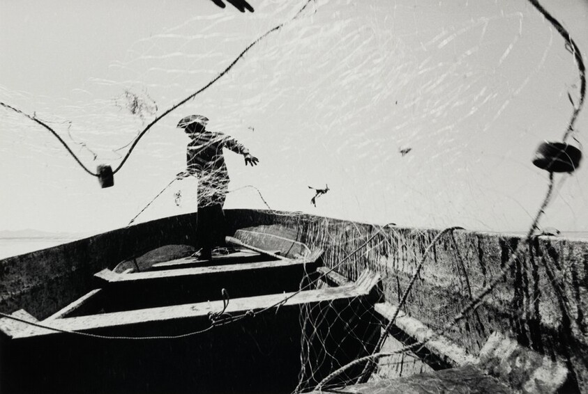 El viento alegre, Sonora, México (The Joyful Wind, Sonora, Mexico)