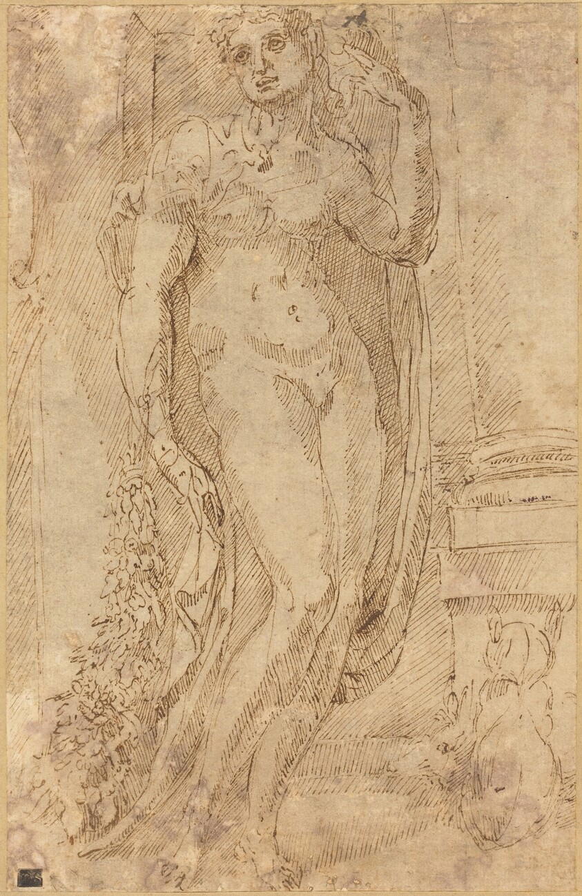 Allegorical Figure with a Cat and a Pig