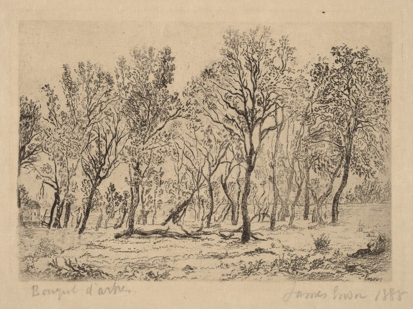 Stand of Trees (Bouquet d'arbres)
