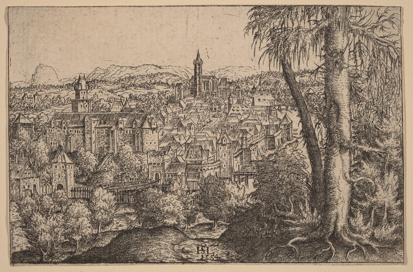 View of Steyr on Enns