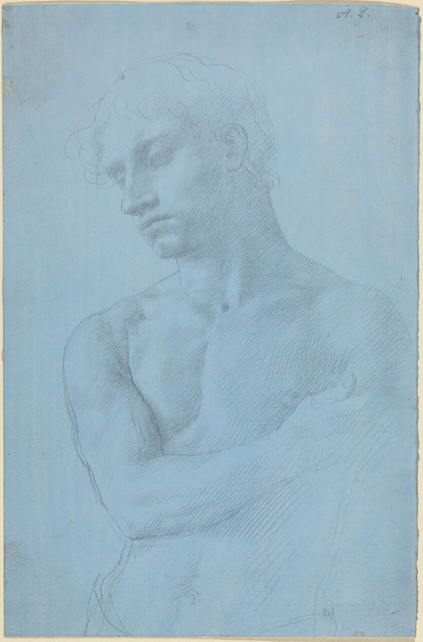 Bust of Nude Man