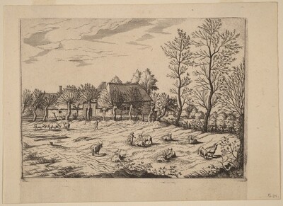Farm