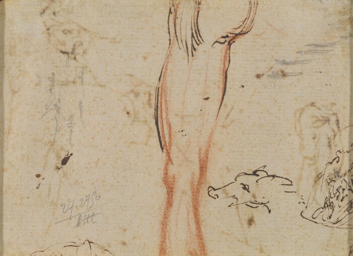 The image shows a sketch of a human figure in a side-profile view from the upper thigh down, including one leg. The figure appears to be standing. Facial features, hair, clothing, or specific objects are not detailed. Surrounding the figure are additional light sketches of an animal head and abstract shapes. The background has a lightly speckled paper texture, indicating this may be from a sketchbook or similar document.