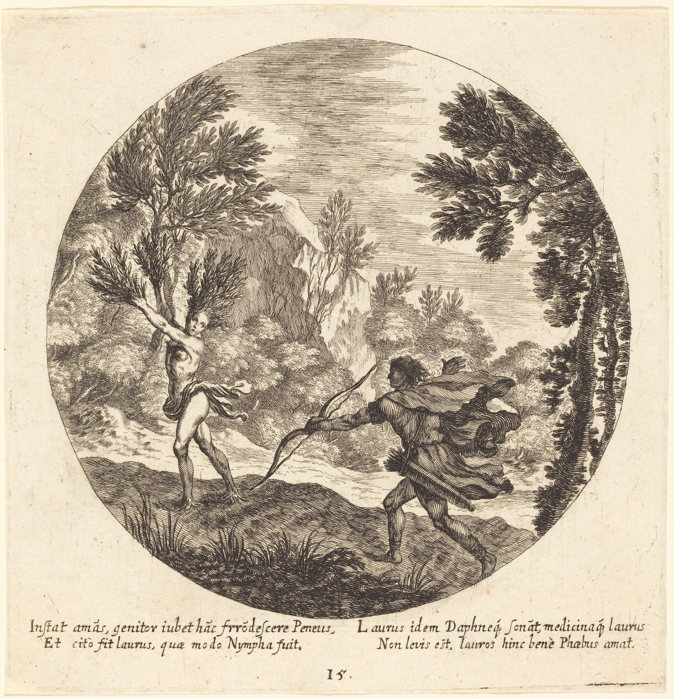 Daphne Turning to a Laurel, Georg Andreas Wolfgang the Elder, 1665