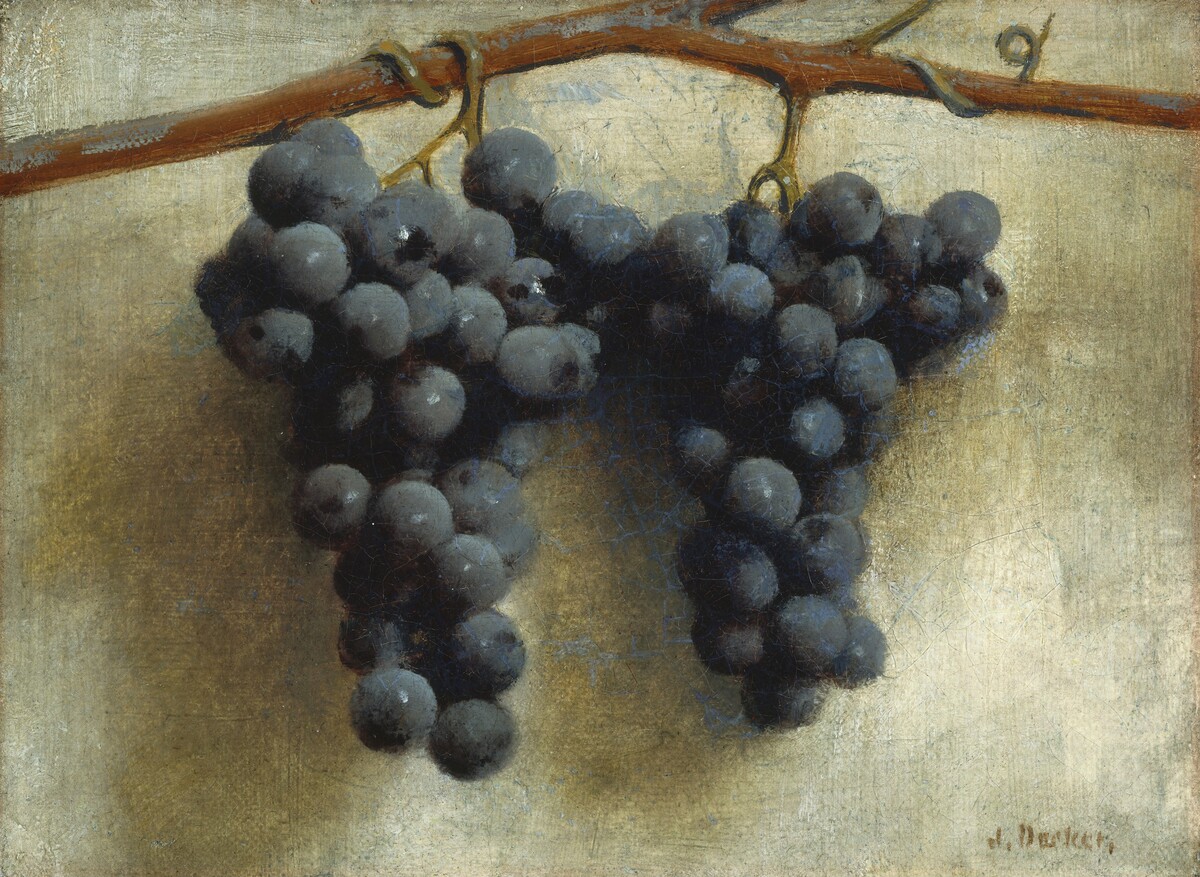 Grapes