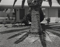 9425 Arrowhead Drive, Allen Dutton, May 1999