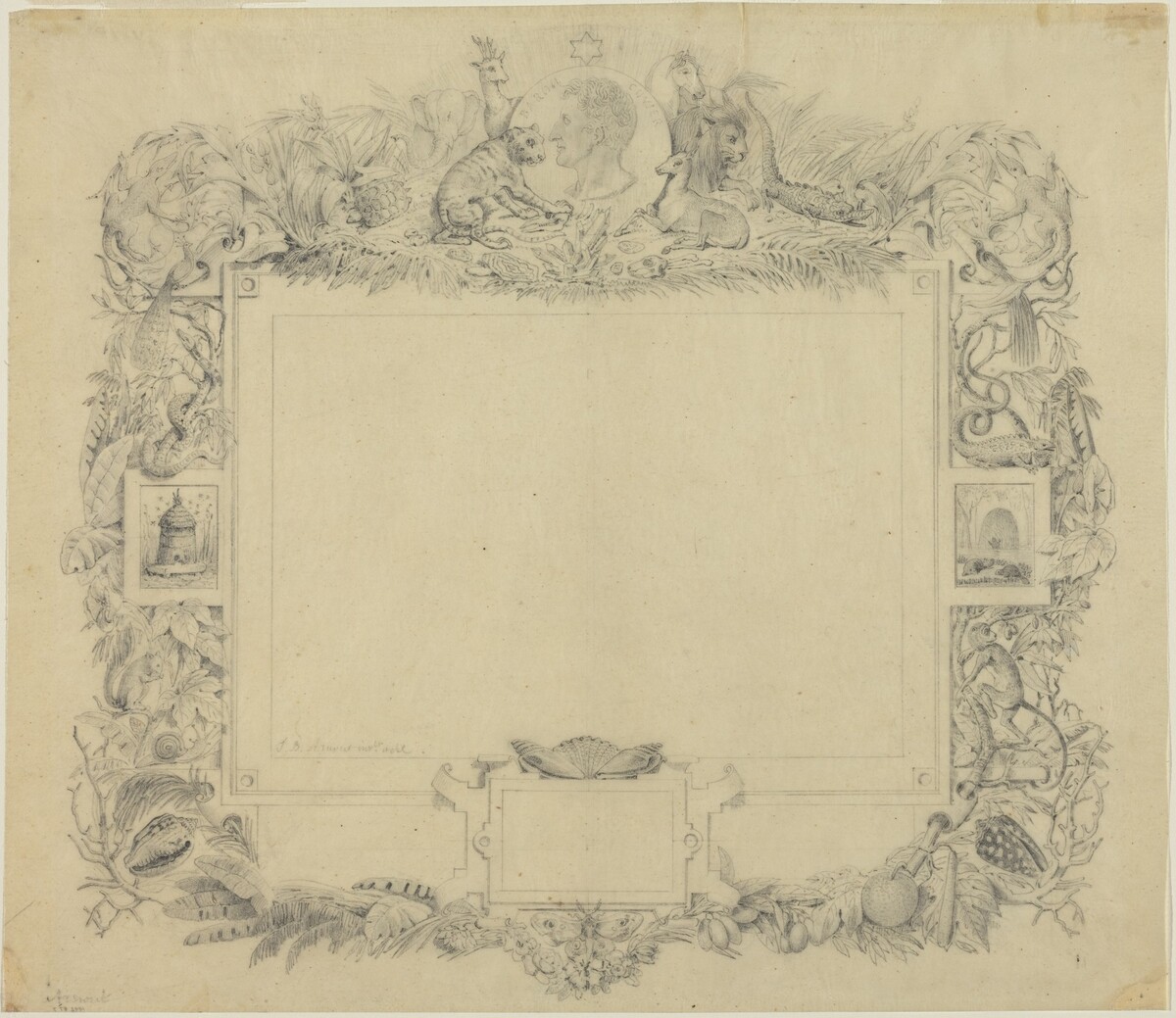 This is a drawing of an ornate decorative border featuring a variety of natural elements. The rectangular blank space is framed with intricate pencil drawings depicting flora and fauna. The border includes tropical plants, a leopard, a fox, a snake, various birds, a person, an animal, plants, flowers, animals such as frogs, fish, and reptiles, insects like butterflies and dragonflies, fruits, foliage, and additional natural elements. Two small drawings are included within the vertical borders, and the bottom center features a prominent butterfly image.