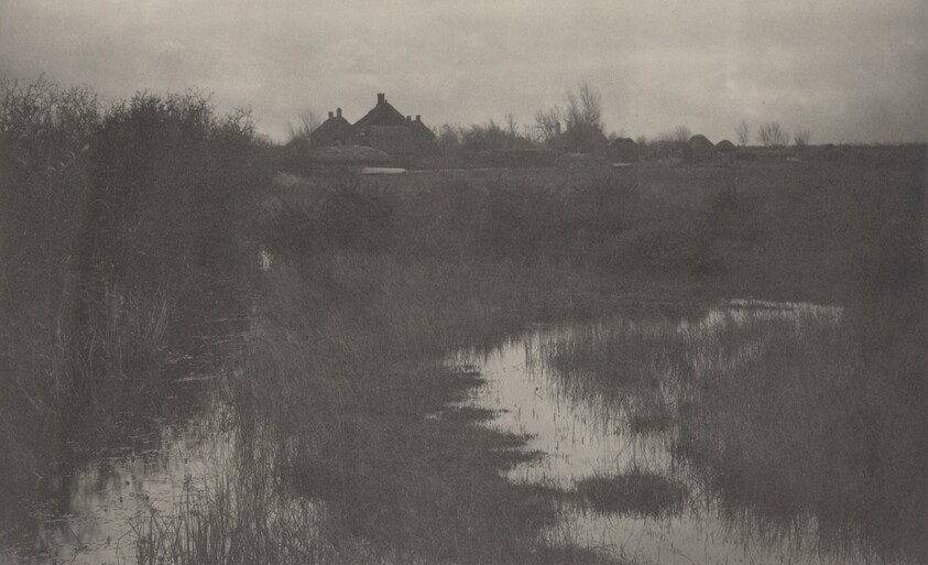 The Fringe of the Marsh