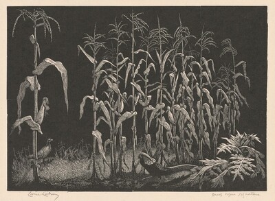 Indian Corn