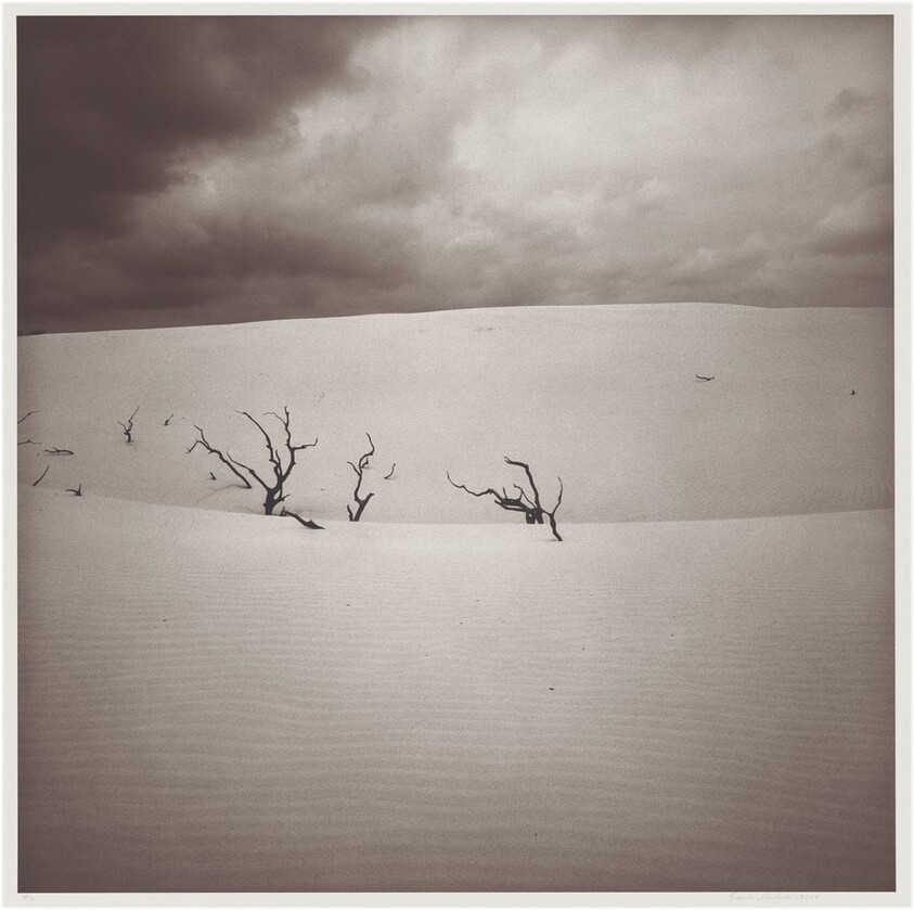 Rancho Santa Gertrudis, Sur de Texas (Santa Gertrudis Ranch, South Texas)