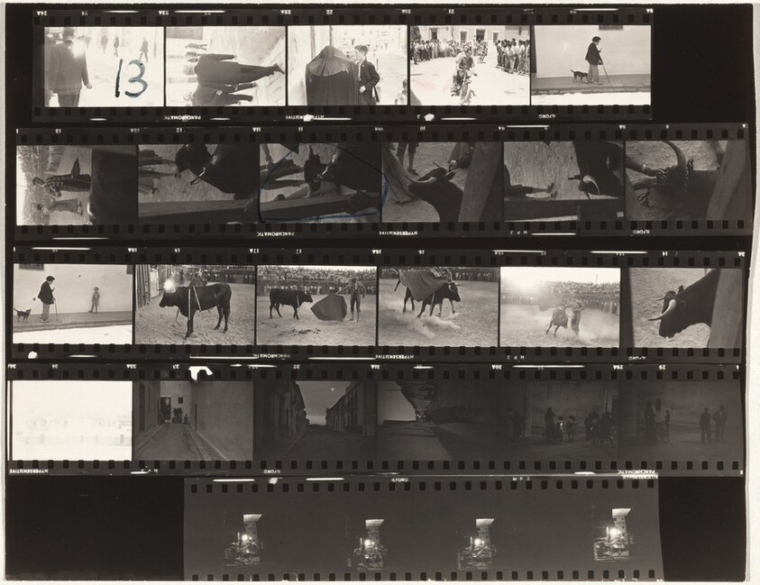 Bullfight--Valencia, Spain 13/Lines of My Hand 35