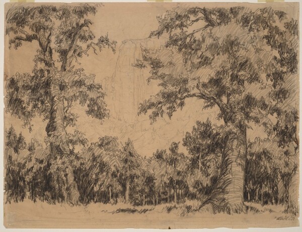 Yosemite, Cathedral Rocks