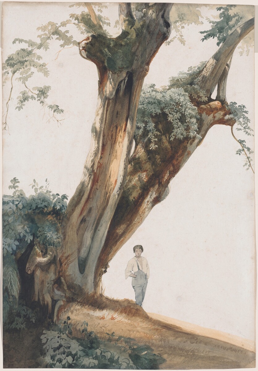 The image shows a large and gnarled tree with a man standing beside it on a small incline. There is no clear horizon line visible. The tree's trunk is captured with textured bark and dramatic curves using broad brushstrokes, conveying age and grandeur. The color palette consists of earthy browns, muted greens, and soft grays. The man is dressed in simple attire and blends into the scene, adding to the rustic atmosphere. The background is kept minimal, focusing on the tree and the figure.