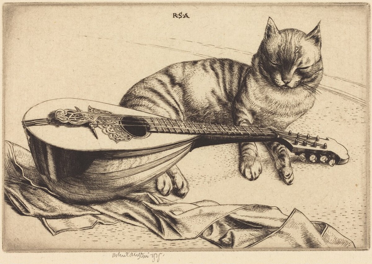 Cat and Mandolin