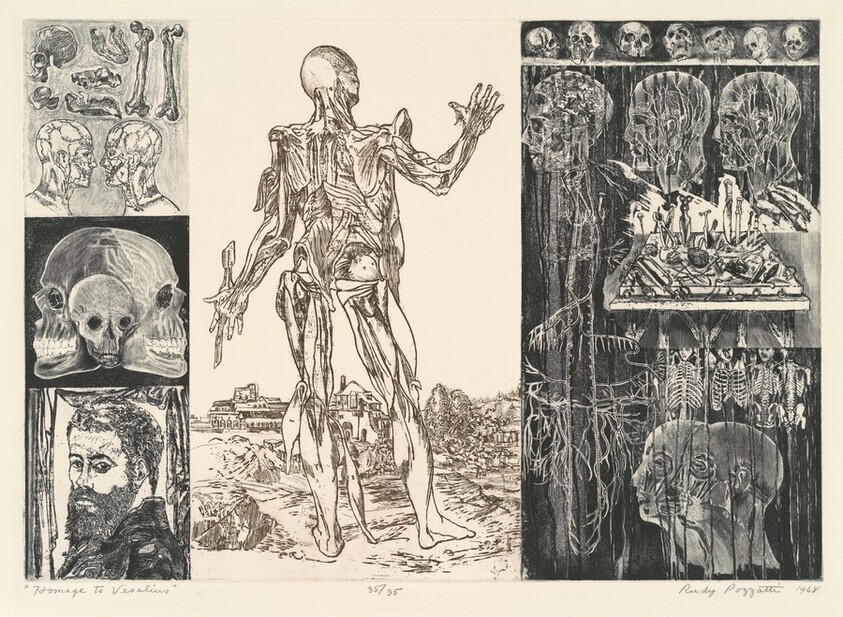 Homage to Vesalius
