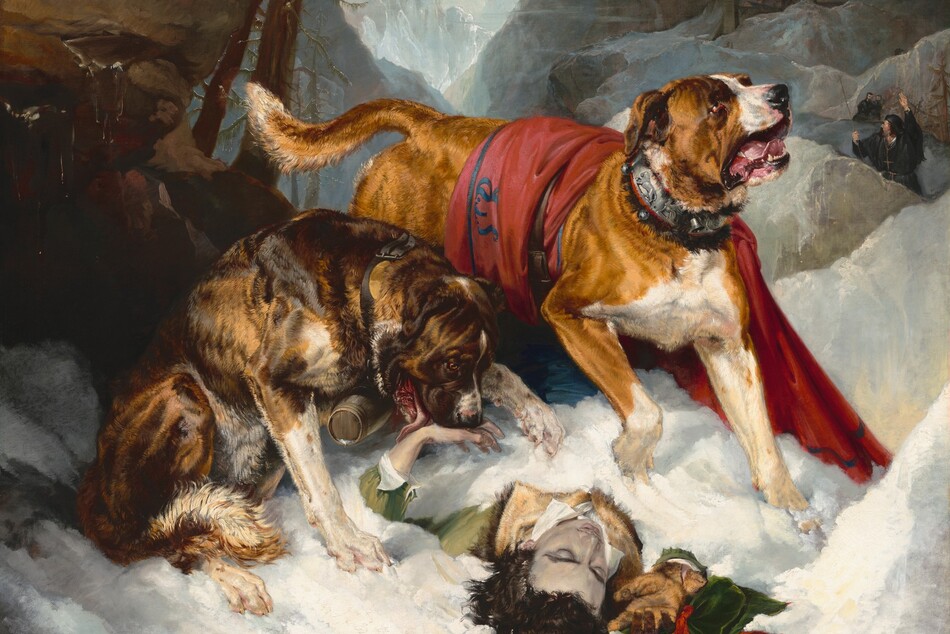 Two large dogs approach a man lying unconscious and mostly buried in the snow in this horizontal painting. The head of the man comes toward us, at the lower center of the composition, and the dogs are close to us. In the center of the painting, a large tan and white dog has short, glossy fur and floppy ears, and its jowly mouth hangs open with the pink tongue visible. It paws at the snow partially covering most of the body of the man, who wears an olive-green coat with a fur collar and white shirt. The dog looks up to our right, and its body and white-tipped tail recede diagonally into the picture to the left. There is a red blanket with black edging over the dog’s back, and the hound wears a wide, fur-lined silver collar ornamented with metalwork lions and bells. The second dog, a dark brown brindle color, sits to the immediate left of the first dog. It gazes down at the prone person and bends its head down to lick a bare pale, pink hand that protrudes from under the snow. The brindle dog wears a small barrel around its neck on a brown buckled leather collar. The man’s dark brown hair falls over the snow. His pale gray face is upward, and his shoulders are visible while his arms splay out, and the rest of his body, extending into the picture, is covered with snow. The man’s eyes are closed. His right hand, in a tan leather glove, reaches toward us from the snow, while a green velvet cap with a red ribbon lies under the hand. The scene is enclosed by large, angular, steel and blue-gray boulders and rock formations, with two craggy pine trees above. Beyond lies a mountain landscape with a V-shaped pass at the center top framed by the steep ascent of jagged, snowy hillsides and a sliver of blue sky. A blocky stone building is nestled in among the crags to our right. On a path leading from the building, three bearded men wearing black caps and robes hurry toward the dogs. The nearest of them holds up a staff with a cross on the top and waves or signals to the men farther back along the path.