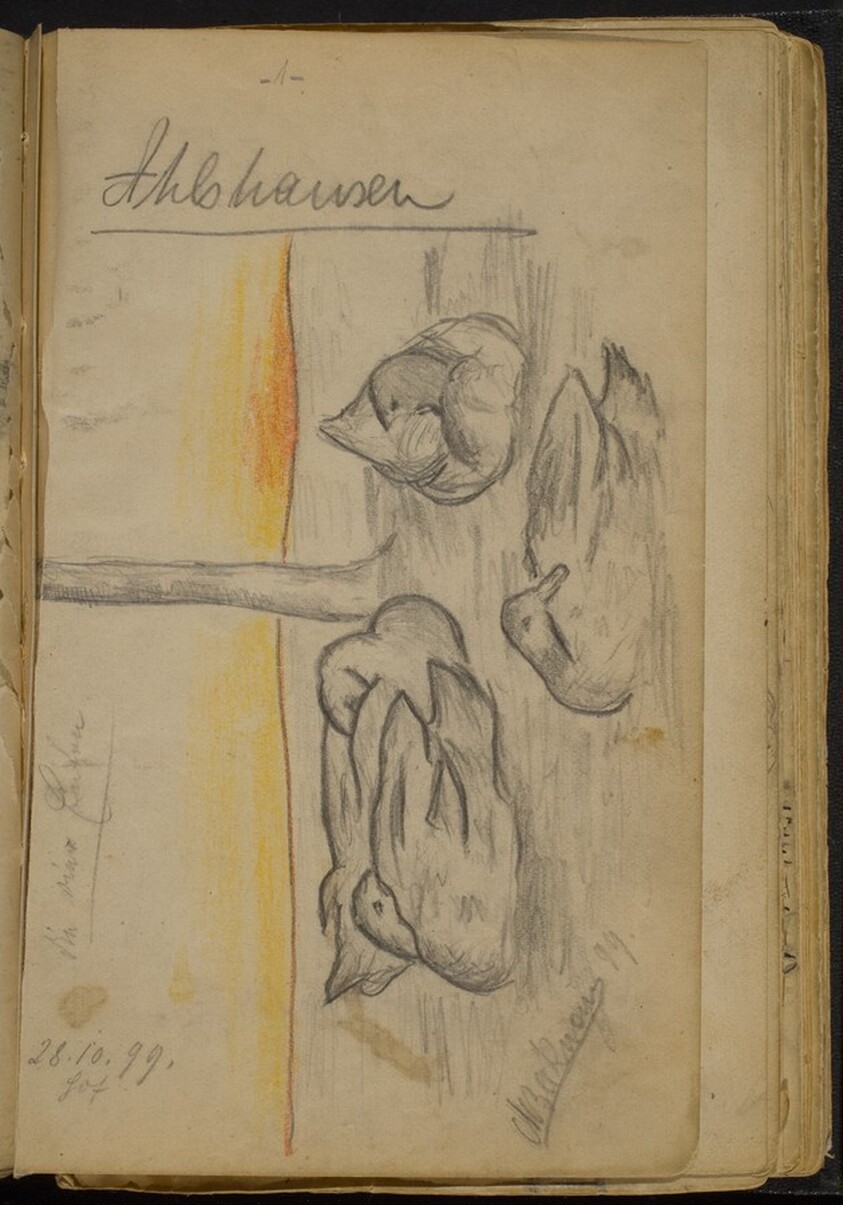 Four Ducks in a Landscape