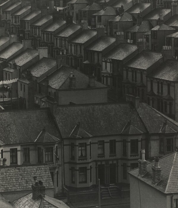 November in the Suburb