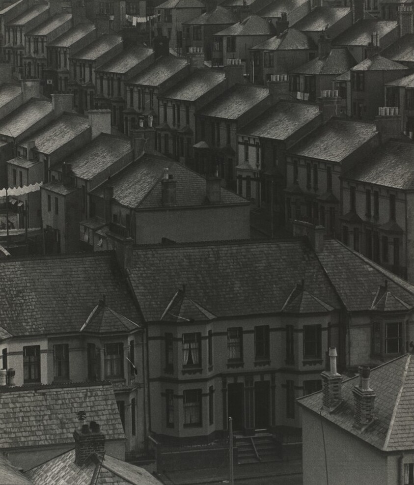 November in the Suburb