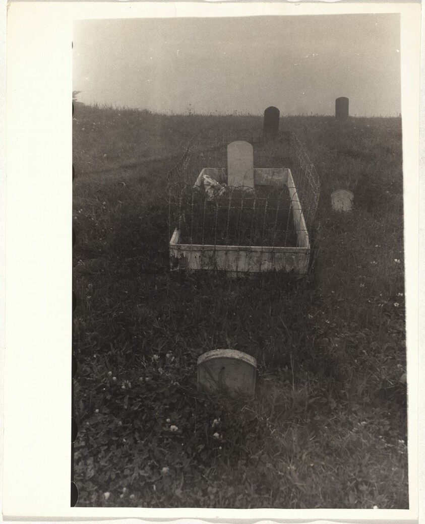 Cemetery--San Francisco
