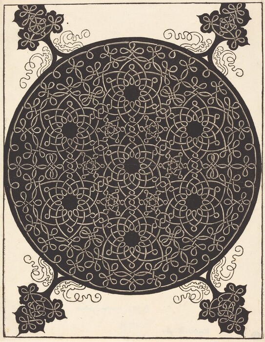 The image depicts a large circular design with intricate loops and swirling lines creating an abstract pattern. The intertwining lines within the circle resemble a labyrinth or a spider's web. Floral-like shapes in the corners of the image enhance the organic feeling, resembling leaves and vines.