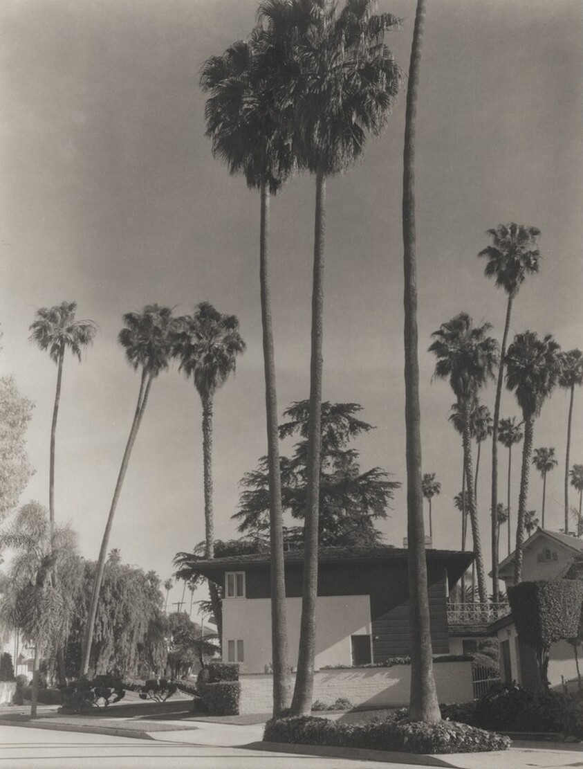 12th Street/Arlington, Country Park