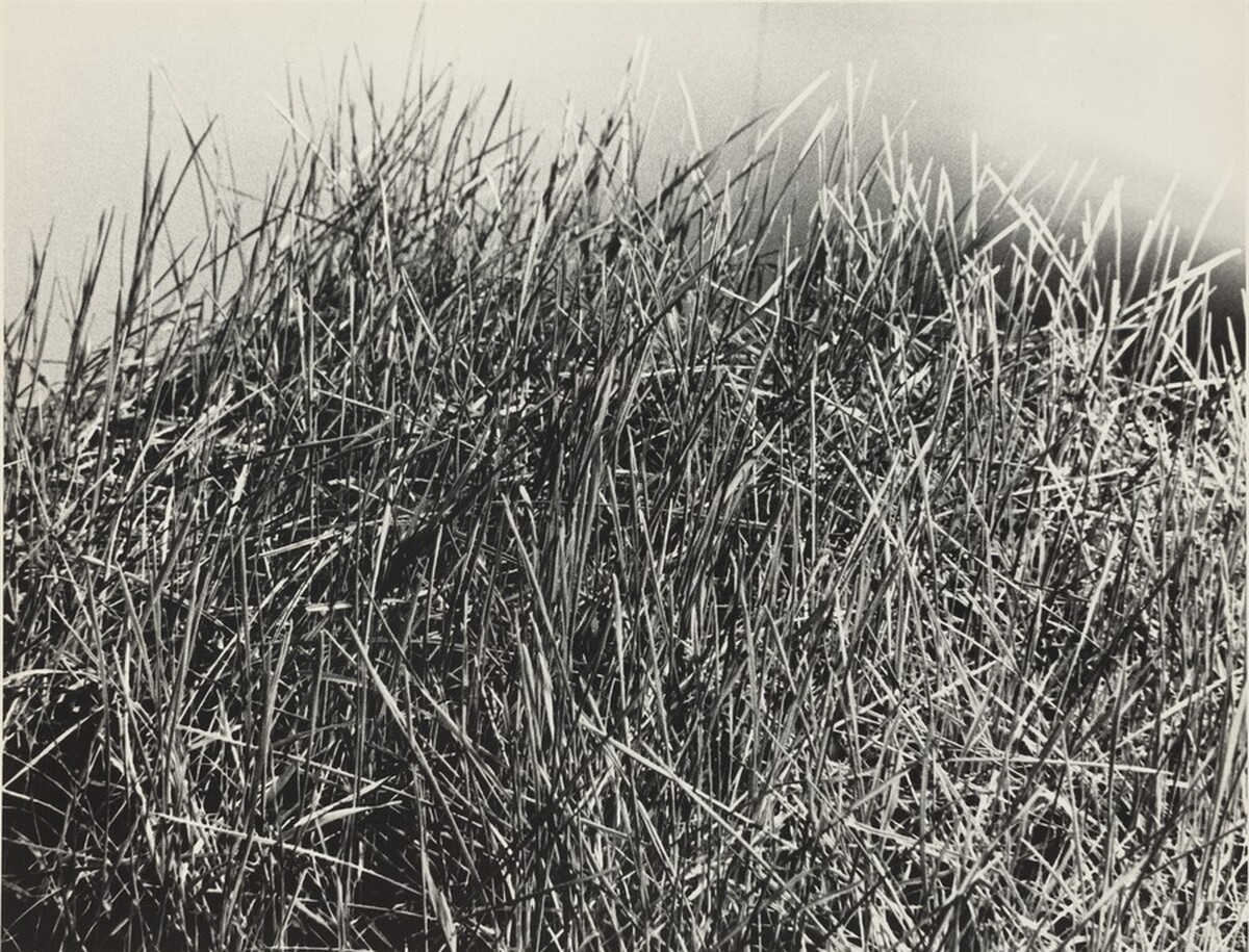 Grass Cube