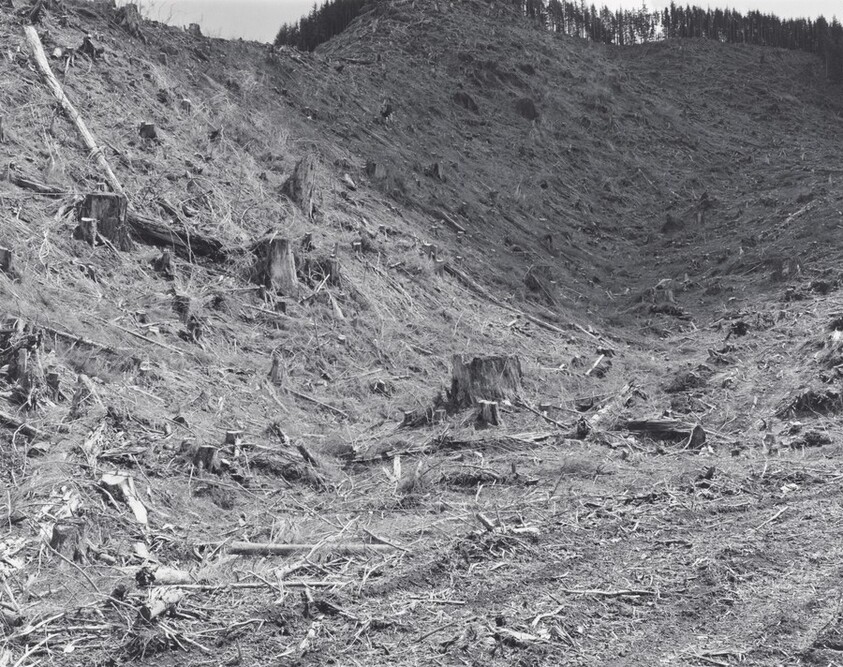 Clearcut, Clatsop County, Oregon