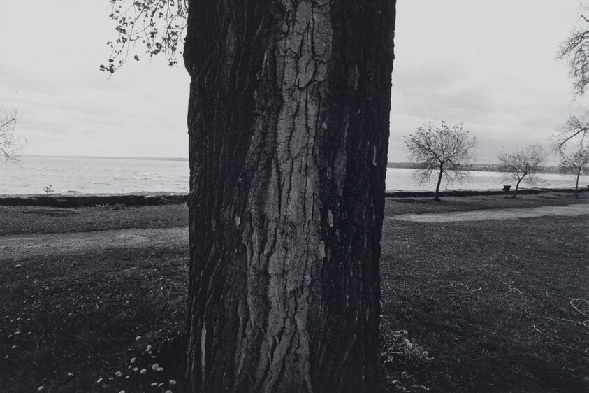 Seneca Lake, New York