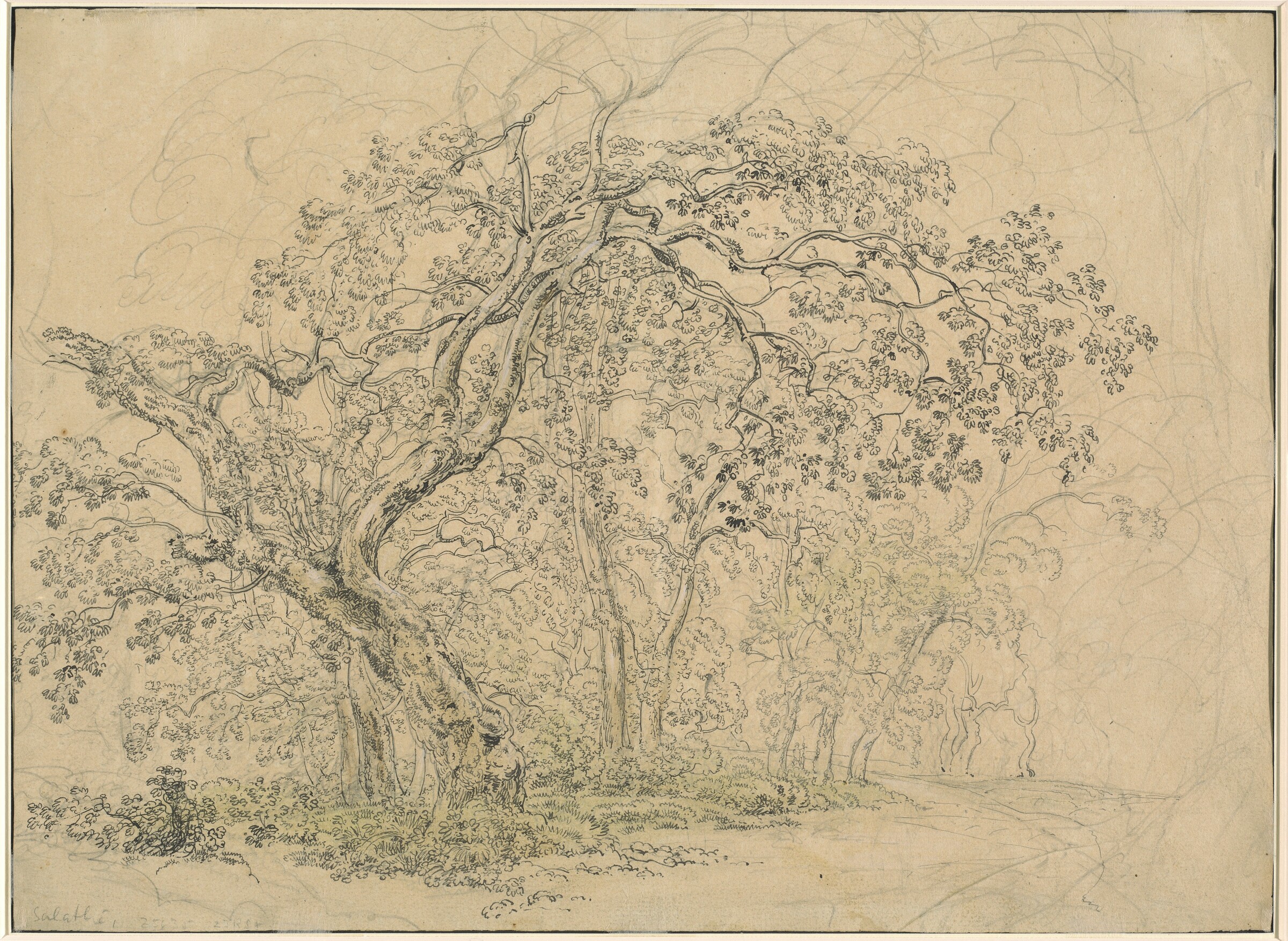 Grove of Trees [verso], Friedrich Salathé, c. 1835