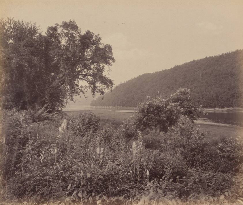The Susquehanna At Wyalusing