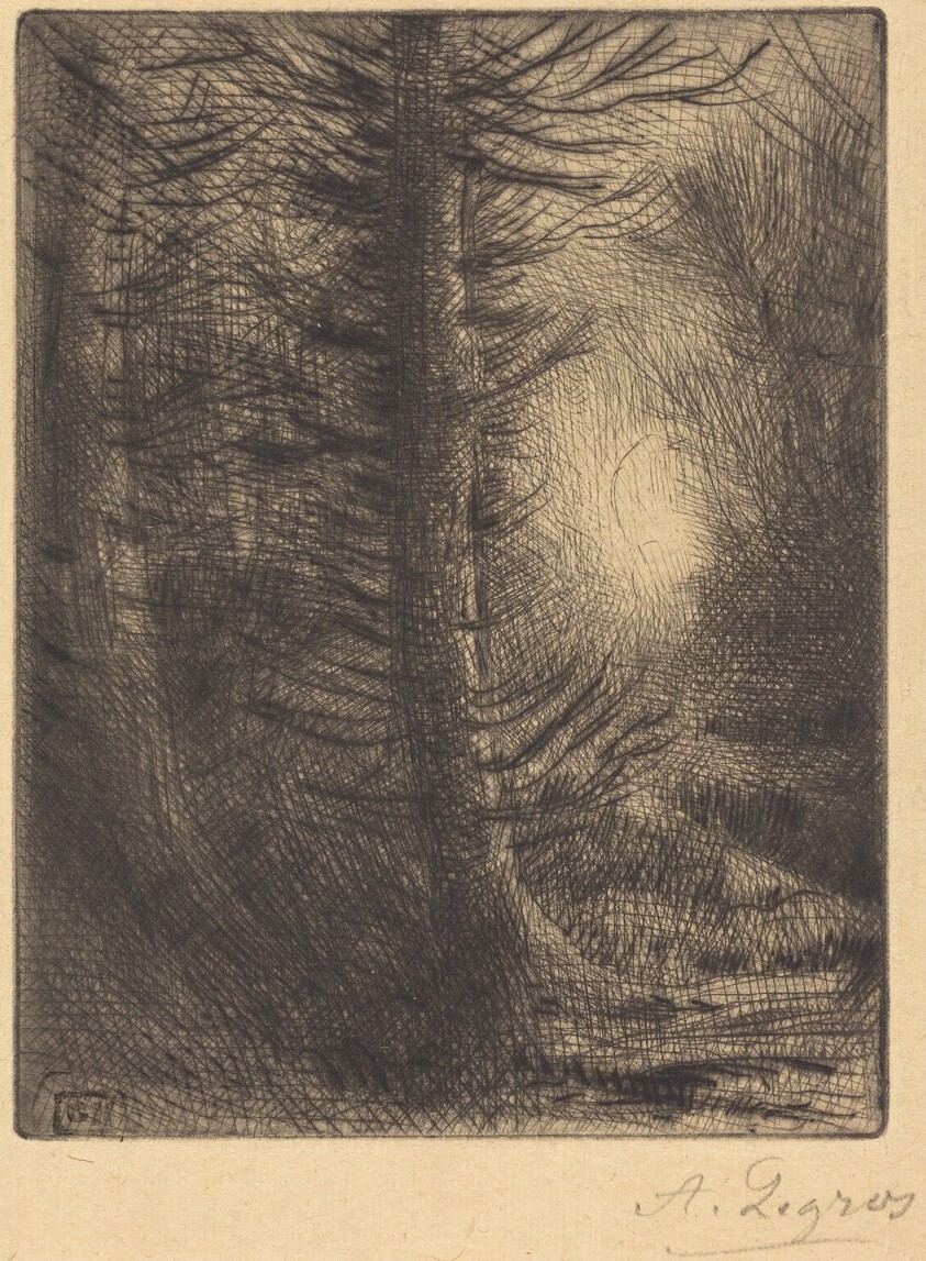 Woods in Winter Sun, 1st plate (Soleil d'hiver dans les bois)