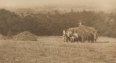Two men pitchfork hay onto a horse-drawn carriage in a field in this horizontal black and white photograph. The platform of the carriage is wider than the two white horses harnessed to it. One man tosses hay onto the top of the pile and the other man standing there. We look slightly down a hill, which is spanned a short distance away by a band of evergreen trees. Rolling hills are hazy in the distance beyond.