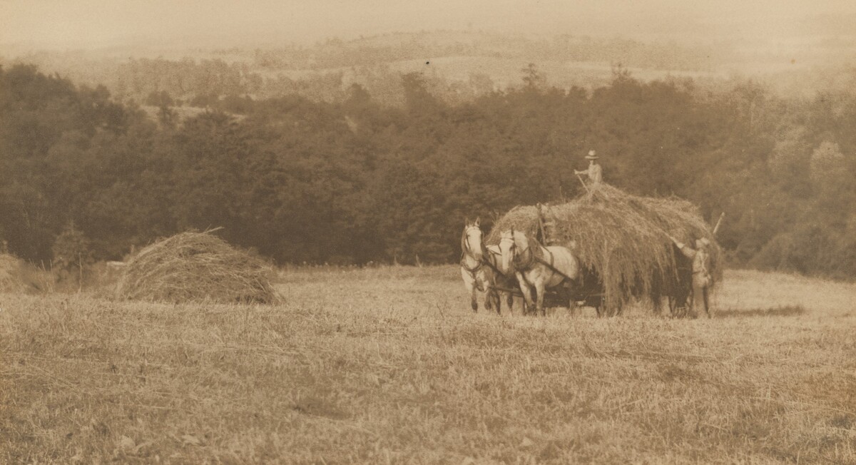 Loading Hay