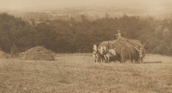 Loading Hay