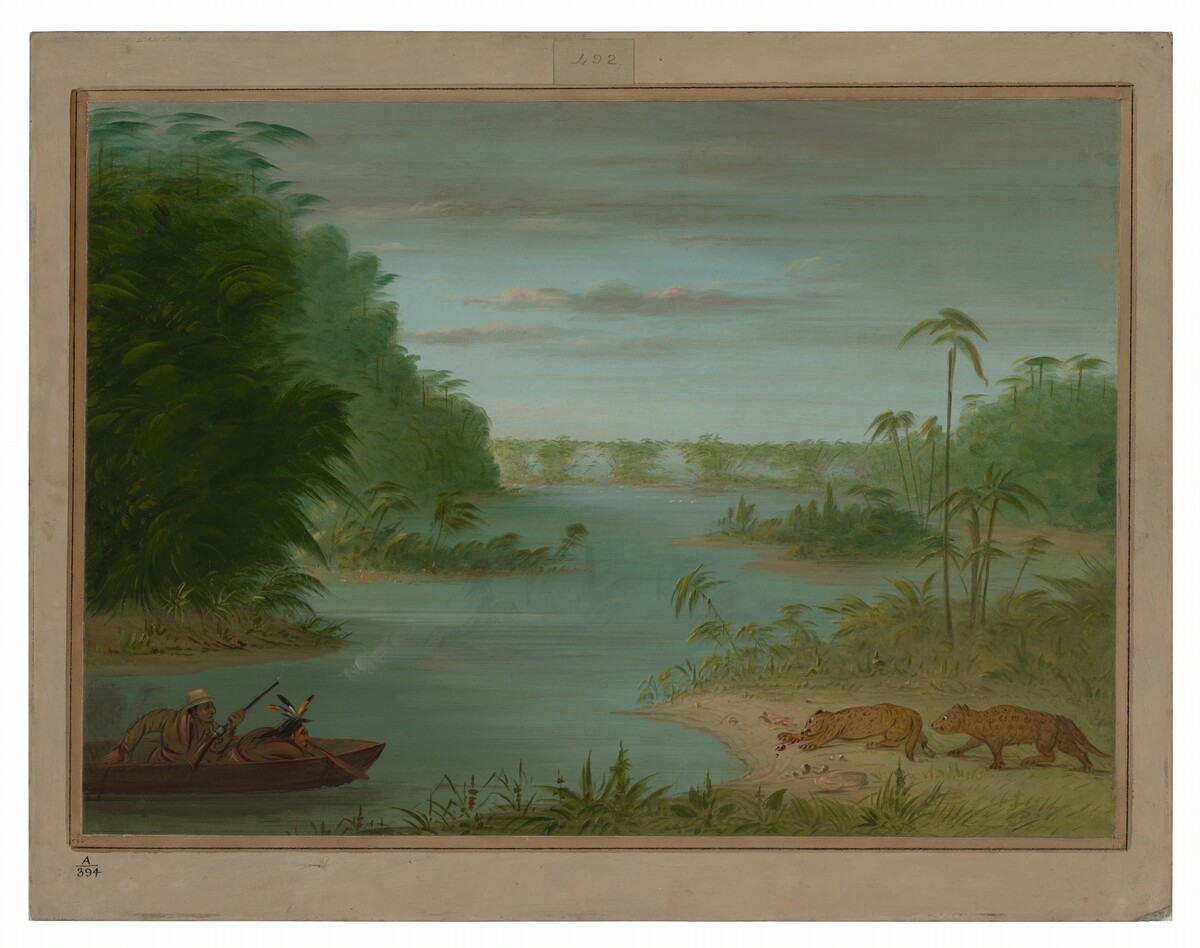 The image shows a serene river landscape from a slightly elevated angle. The horizon is near the upper third of the painting with a dense strip of forest lining the riverbanks in the distance. Two animals are scavenging for food on a sandy bank to the right, and to the left, near us, a small canoe with two figures is quietly paddling. The brushstrokes are smooth and detailed, capturing the lush foliage and gentle ripples on the water. The color palette is natural with rich greens of the vegetation contrasting with soft blues and earthy tones of the river and sky.