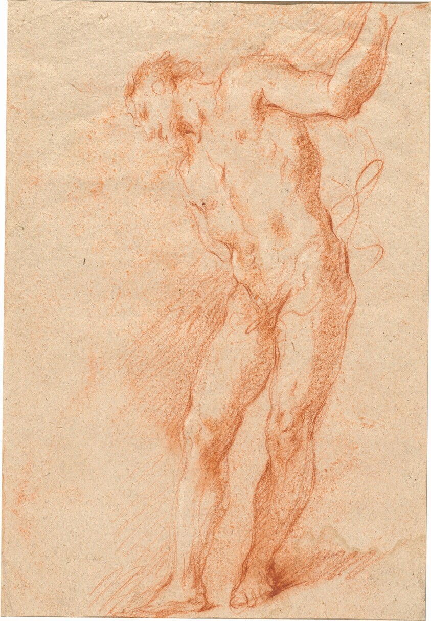 Male Nude